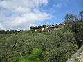 LIGURIAMTB13 (291)